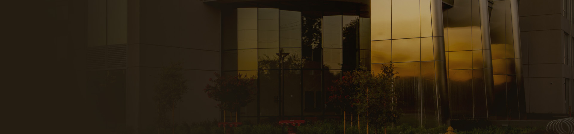 장은에프앤씨 연혁